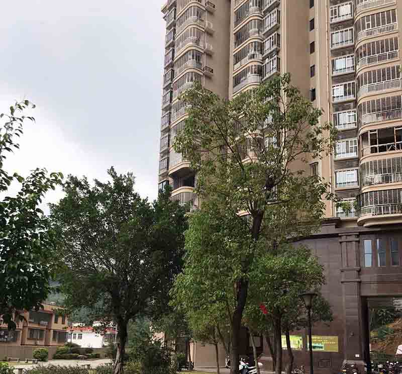 肇庆市德庆县新圩镇翔浩御景阳光