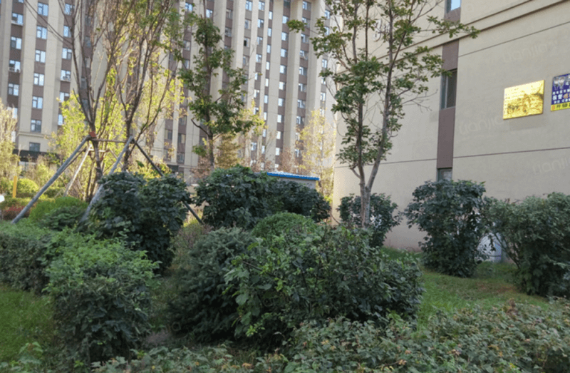 河南郑州 北院军干六所